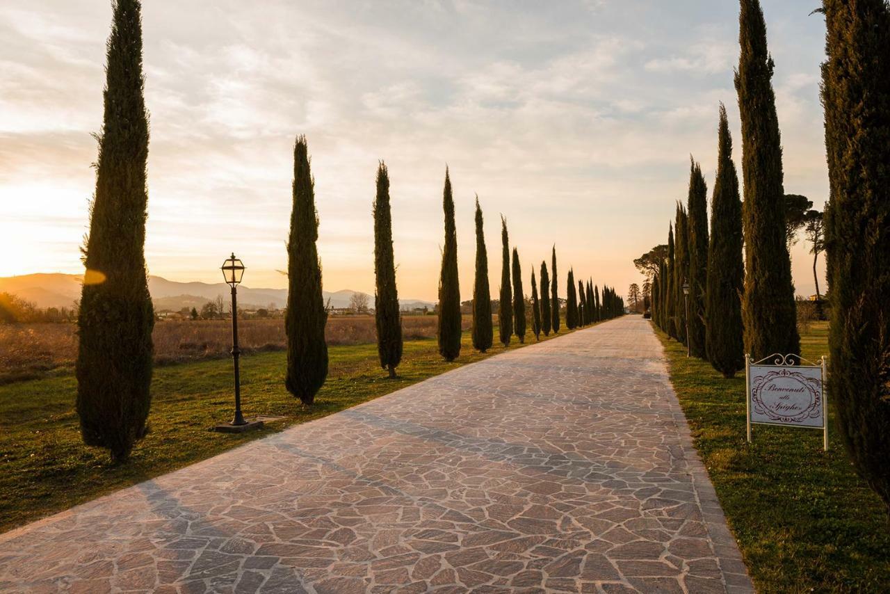 Agriturismo La Rugea - Le Spighe ปาล์มเดดเซิร์ท ภายนอก รูปภาพ